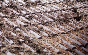 Lane Head roof cleaning companies